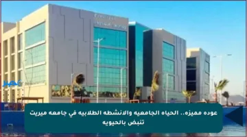 عودة مميزة.. الحياة الجامعية والأنشطة الطلابية في جامعة ميريت تنبض بالحيوية